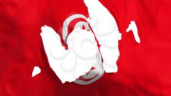 Ragged Tunisia flag, white background, 3d rendering