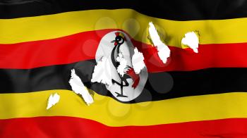 Uganda flag perforated, bullet holes, white background, 3d rendering