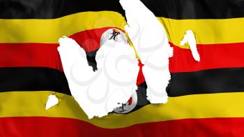 Ragged Uganda flag, white background, 3d rendering