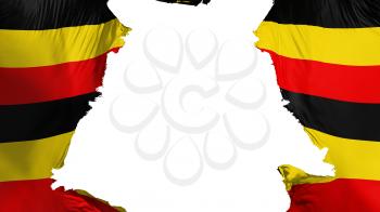 Uganda flag ripped apart, white background, 3d rendering