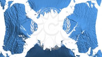 United Nations torn flag fluttering in the wind, over white background, 3d rendering