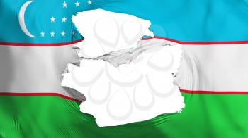 Tattered Uzbekistan flag, white background, 3d rendering