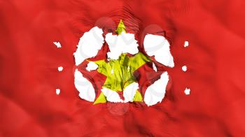 Holes in Vietnam flag, white background, 3d rendering