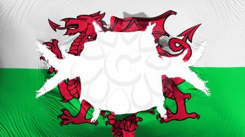 Wales flag with a big hole, white background, 3d rendering