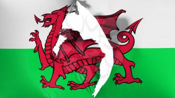 Damaged Wales flag, white background, 3d rendering
