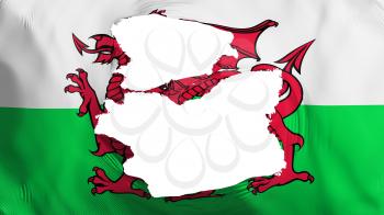Tattered Wales flag, white background, 3d rendering
