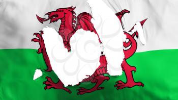 Ragged Wales flag, white background, 3d rendering