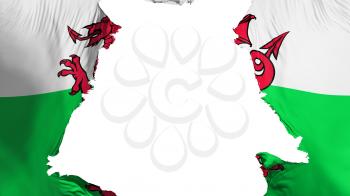 Wales flag ripped apart, white background, 3d rendering