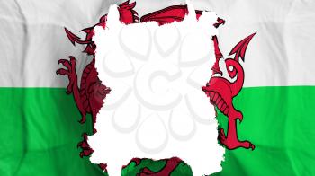 Ripped Wales flying flag, over white background, 3d rendering