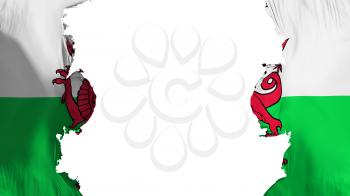 Blasted Wales flag, against white background, 3d rendering