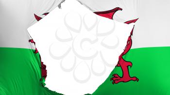 Cracked Wales flag, white background, 3d rendering