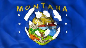 Montana state flag with a small holes, white background, 3d rendering