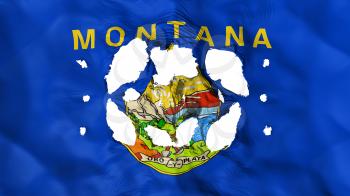 Holes in Montana state flag, white background, 3d rendering