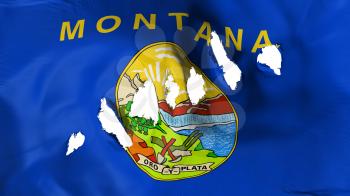 Montana state flag perforated, bullet holes, white background, 3d rendering
