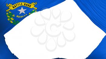 Divided Nevada state flag, white background, 3d rendering