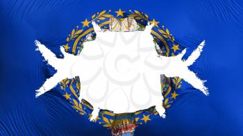New Hampshire state flag with a big hole, white background, 3d rendering
