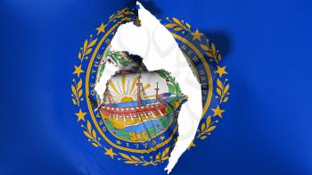 Damaged New Hampshire state flag, white background, 3d rendering