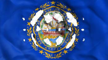New Hampshire state flag with a small holes, white background, 3d rendering