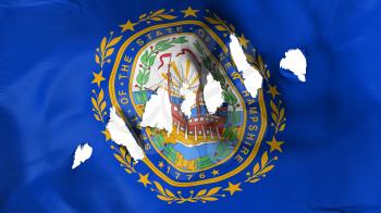 New Hampshire state flag perforated, bullet holes, white background, 3d rendering