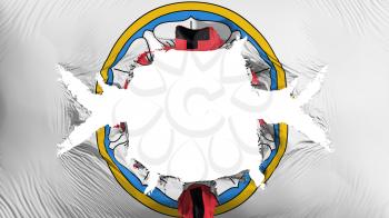 Lutheran Rose flag with a big hole, white background, 3d rendering