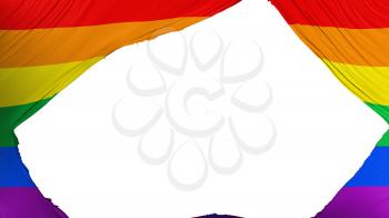 Divided Gay rainbow flag, white background, 3d rendering
