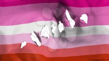 Lesbian pride flag perforated, bullet holes, white background, 3d rendering