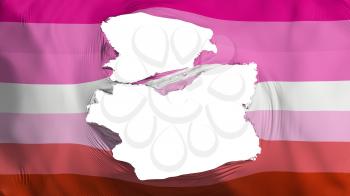 Tattered Lesbian pride flag, white background, 3d rendering
