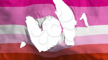 Ragged Lesbian pride flag, white background, 3d rendering
