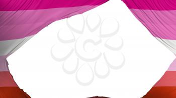 Divided Lesbian pride flag, white background, 3d rendering