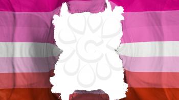 Ripped Lesbian pride flying flag, over white background, 3d rendering