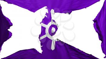Destroyed Tokyo city, capital of Japan flag, white background, 3d rendering