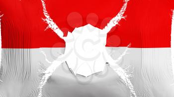 Vienna city, capital of Austria flag with a hole, white background, 3d rendering