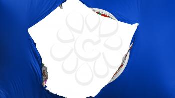 Cracked Virginia state flag, white background, 3d rendering