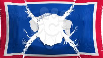Wyoming state flag with a hole, white background, 3d rendering