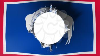 Hole cut in the flag of Wyoming state, white background, 3d rendering