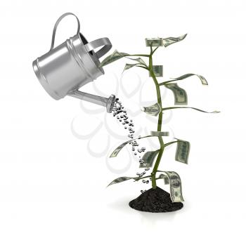 Royalty Free Clipart Image of a Money Plant