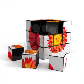 3d cube with photo over white background. computer generated image