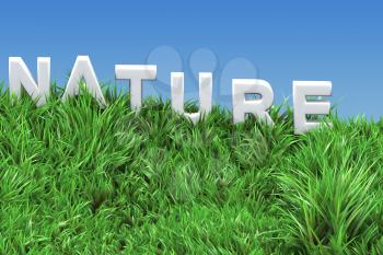 Royalty Free Clipart Image of a Nature