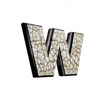 abstract 3d letter with dry ground texture - W