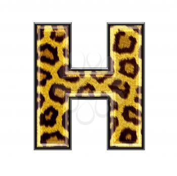 3d letter with panther skin texture - H