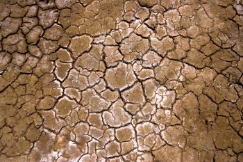 a high resolution dry ground texture