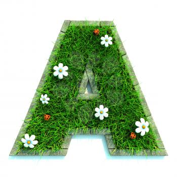 Beautiful Spring Letters and Numbers Made of Grass and Surrounded with  Border