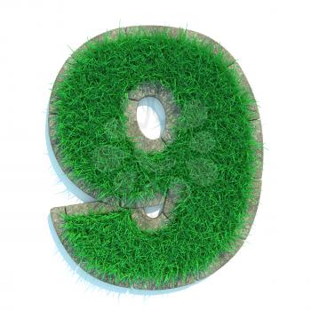 Beautiful Spring Numbers Made of Grass and Surrounded with  Border