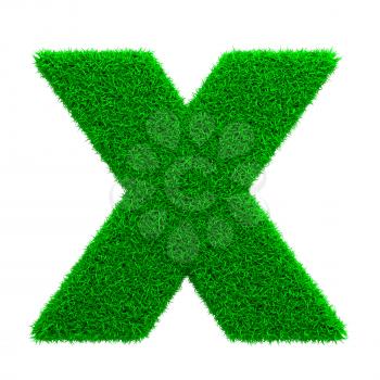 Grass Letter X Isolated on White Background.