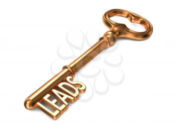 Leads - Golden Key on White Background. 3D Render.  Business Concept.