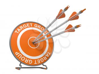Target Group - Business Background. Three Arrows Hitting the Center of a Orange Target, where is Written Word Target Group.  3D Render.