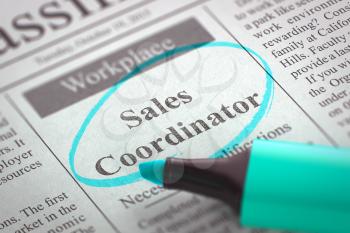 Sales Coordinator - Job Vacancy in Newspaper, Circled with a Azure Highlighter. Blurred Image with Selective focus. Job Search Concept. 3D.