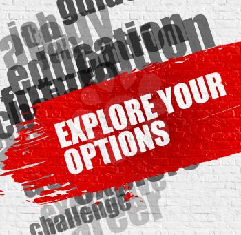 Education Service Concept: Explore Your Options. Red Caption on Brick Wall. Explore Your Options - on the Brickwall with Word Cloud Around. Modern Illustration. 