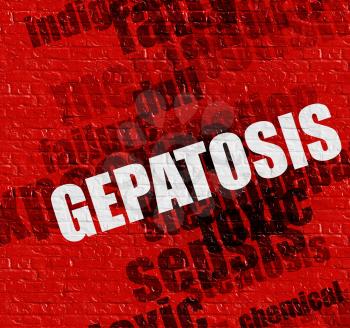 Healthcare concept: Red Wall with Gepatosis on it . Gepatosis - on the Brick Wall with Word Cloud Around . 