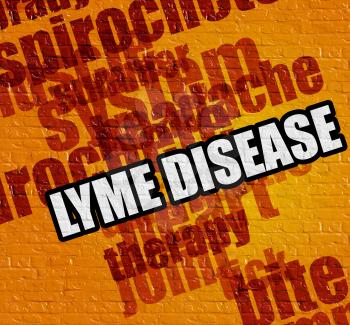 Modern healthcare concept: Lyme Disease on the Yellow Brickwall . Yellow Brick Wall with Lyme Disease on the it . 